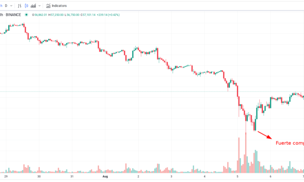 Crypto Alerts Noticias Criptomonedas Los que aprovechan la caída del mercado para comprar bitcoin