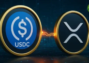 Crypto Alerts Noticias Altcoins Esto es todo lo que necesitas saber