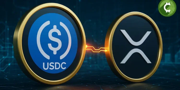 Crypto Alerts Noticias Altcoins Esto es todo lo que necesitas saber