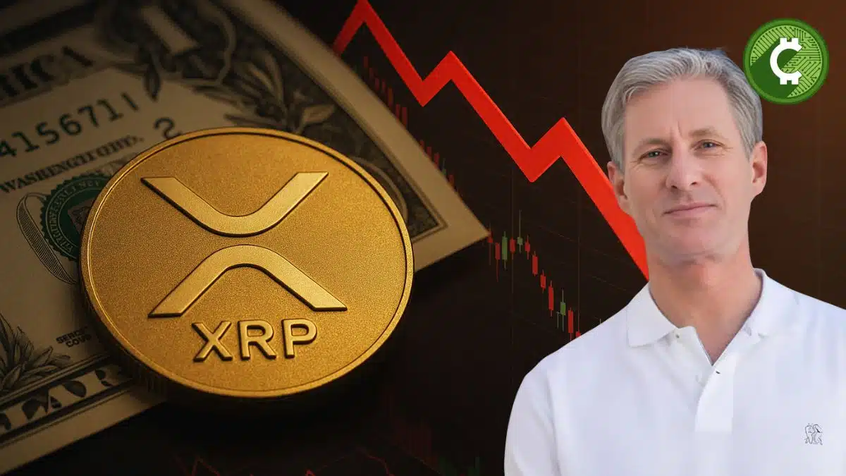 En medio de un entorno de corrección para las altcoins y una volatilidad creciente, se han revelado movimientos masivos de XRP por parte de Chris Larsen, cofundador de Ripple.