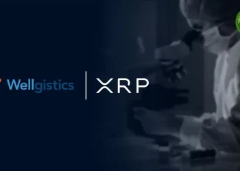 Crypto Alerts Noticias Altcoins Wellgistics anunció inversión de $50 millones en XRP