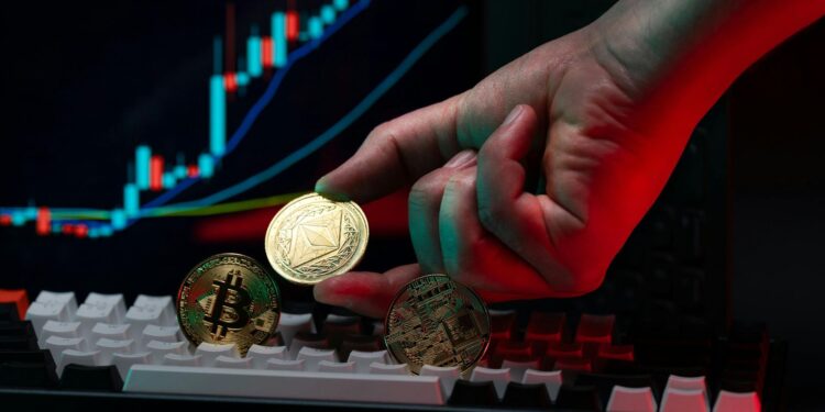 NFT Market NFT REVIEW NEWS Guía completa para novatos – Bitnovo Blog