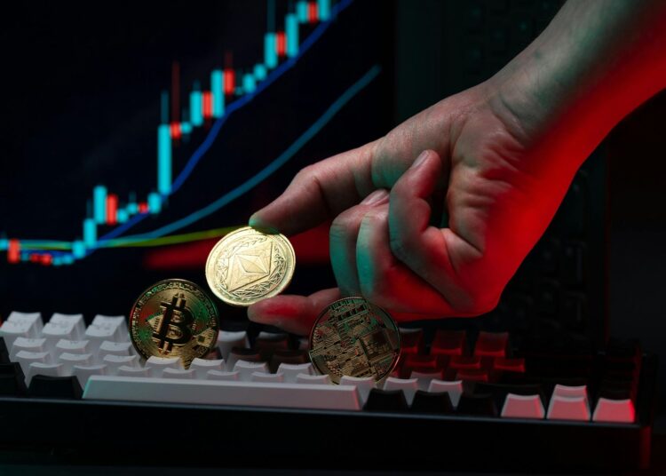 NFT Market NFT REVIEW NEWS Guía completa para novatos – Bitnovo Blog